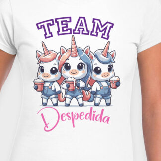 Team Despedida Unicornios